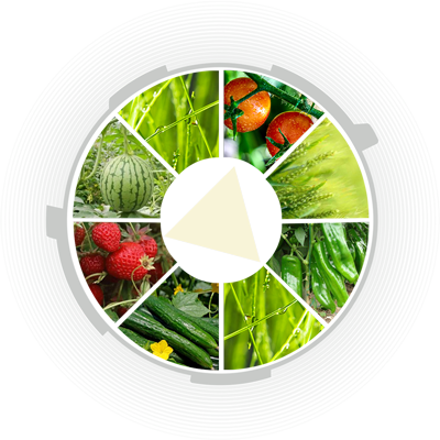 湖北盛惠丰农业科技有限公司